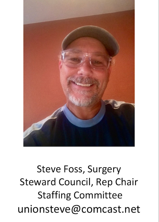 Steve Foss, Rep Chair