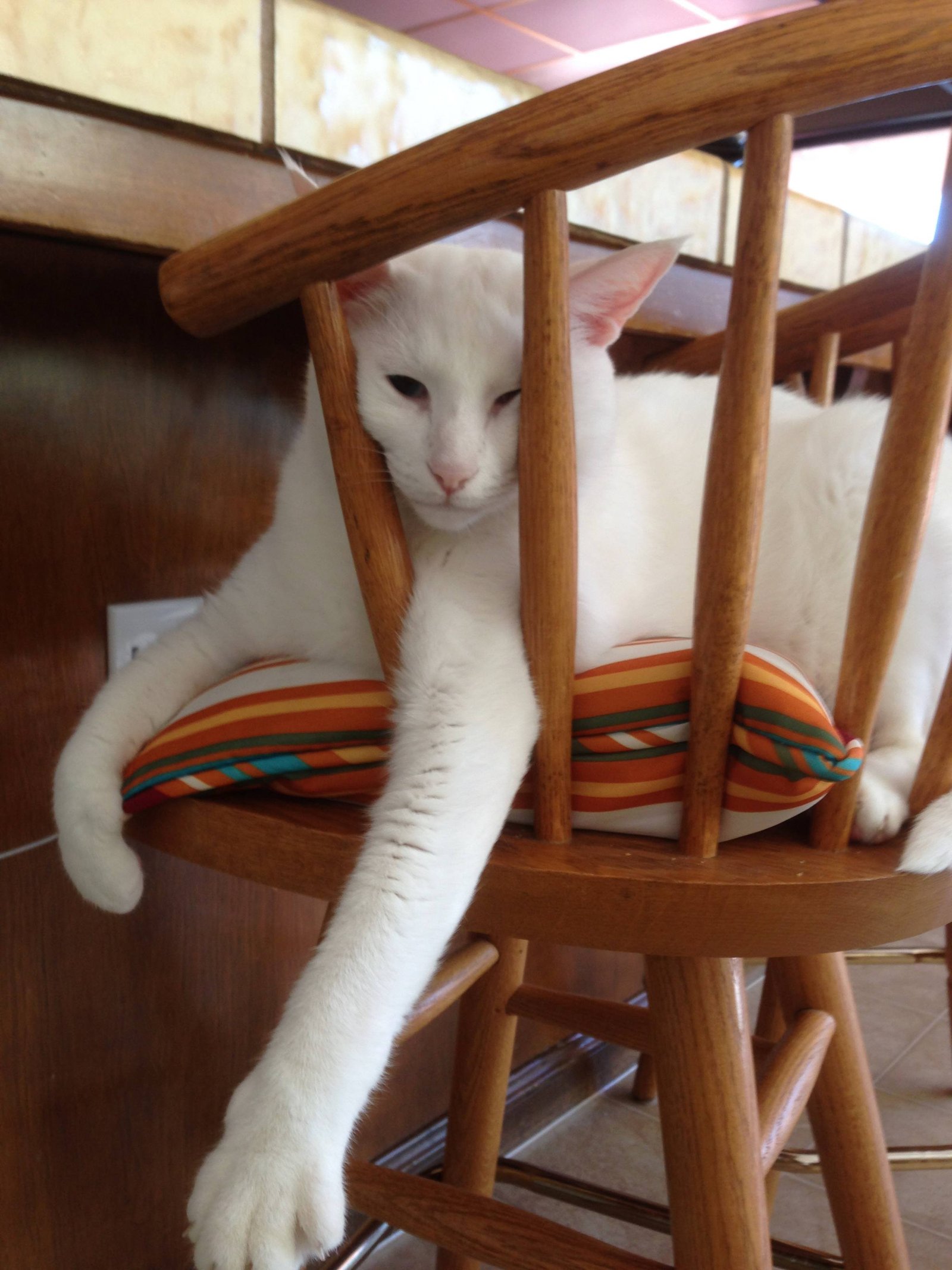 Exhausted From Monitoring Dad