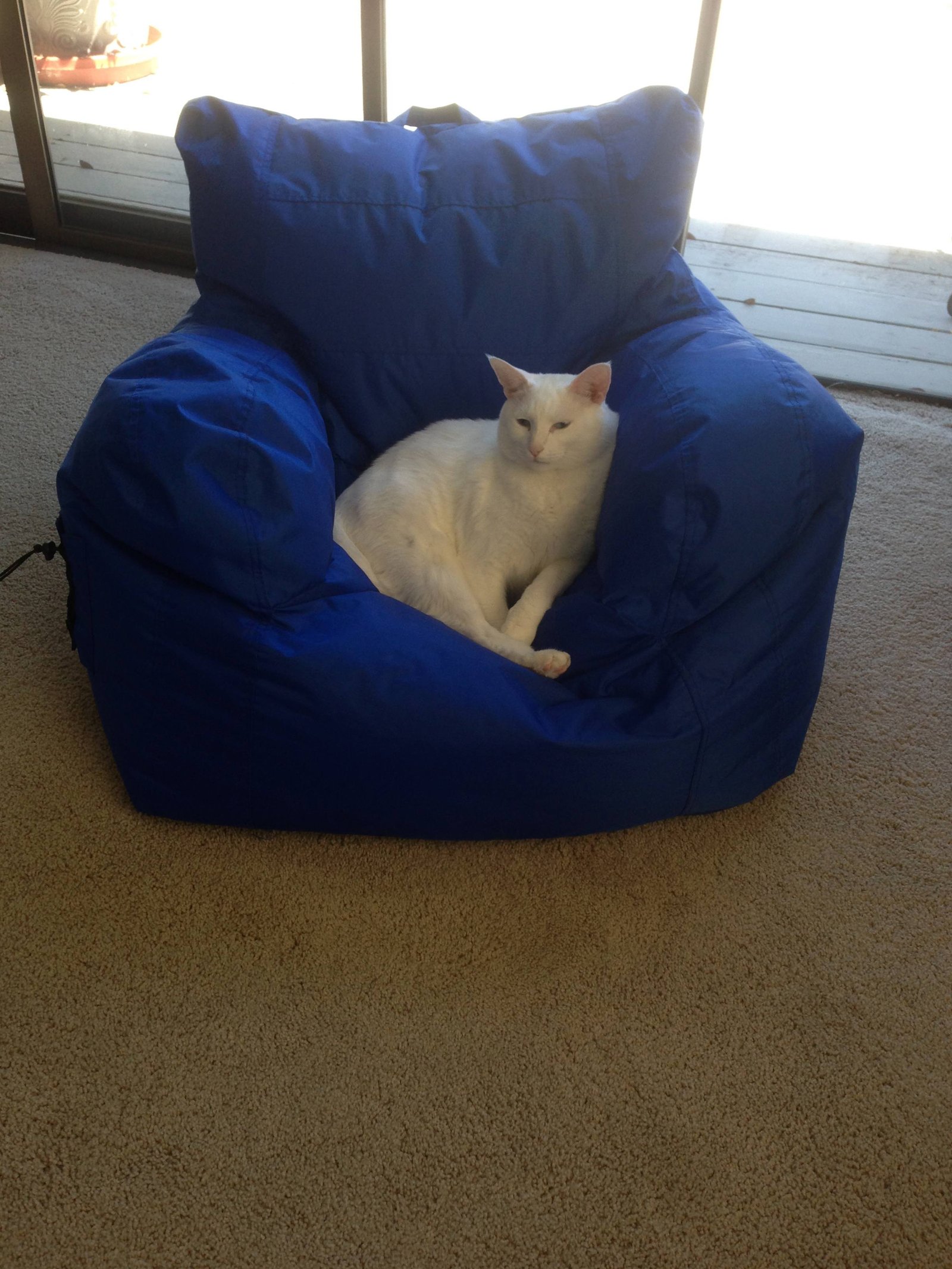 Favorite Gaming Chair