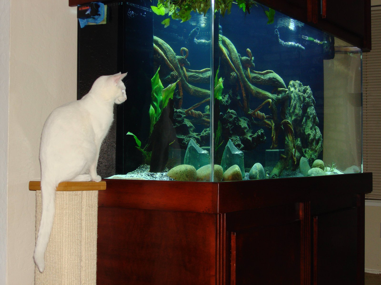 His Favorite Fishing Site